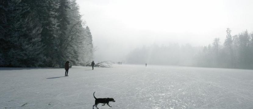 Langbürgner See im Winter